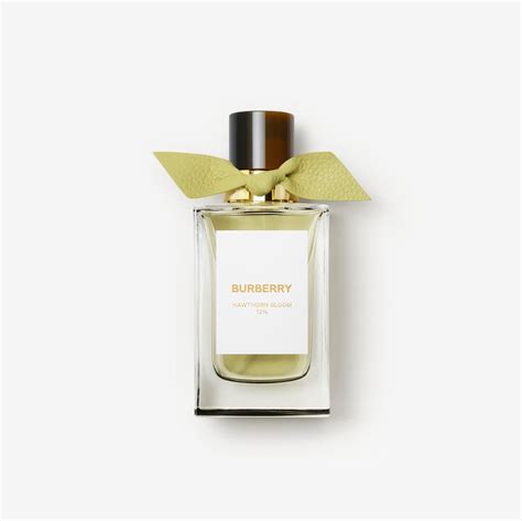 burberry signatures hawthorn bloom|Hawthorn Bloom Burberry for women and men .